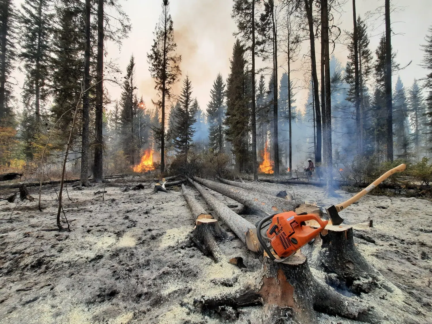 Intervention en amont ou en aval des catastrophes naturelles
