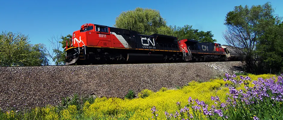 Maitrise de végétation sur le réseau ferroviaire
